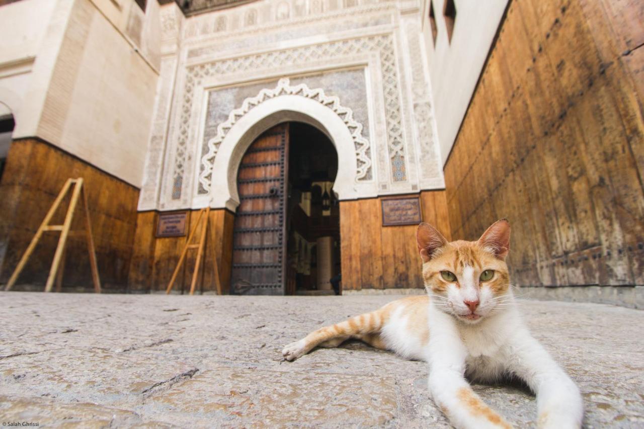 Riad Anis Fès Extérieur photo